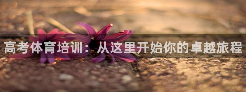 欧陆娱乐怎么注册会员的：高考体育培训：从这里开始你的卓越旅程