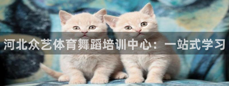 欧陆娱乐中国：河北众艺体育舞蹈培训中心：一站式学习