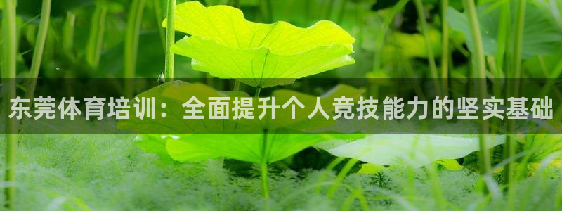 欧陆娱乐平台咋样赚钱快