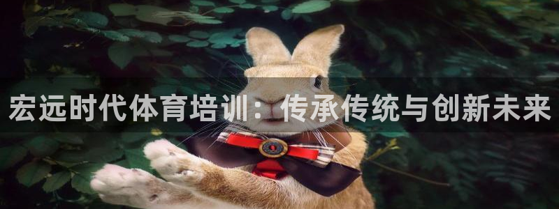 欧陆娱乐系统教程：宏远时代体育培训：传承传统与创新未