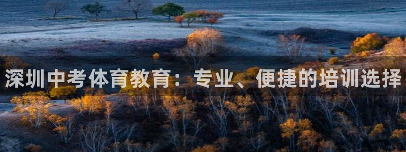 欧陆娱乐安全?：深圳中考体育教育：专业、便捷的培训选