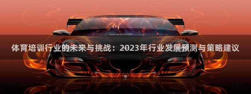 欧陆娱乐公司产品介绍：体育培训行业的未来与挑战：20