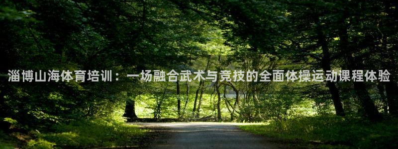 欧陆娱乐：淄博山海体育培训：一场融合武术与竞技的全面体操运动