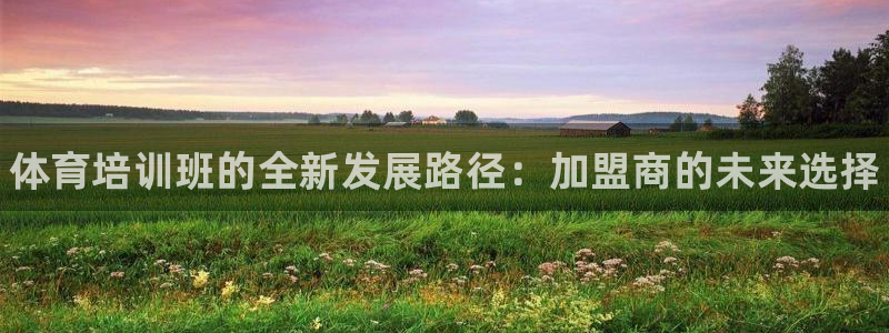 欧陆娱乐不让提现怎么办：体育培训班的全新发展路径：加盟商的未