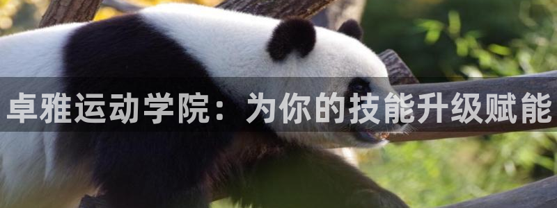 欧陆娱乐平台登录不上去：卓雅运动学院：为你的技能升级