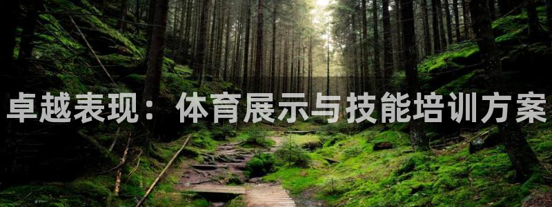 欧陆娱乐app下载：卓越表现：体育展示与技能培训方案